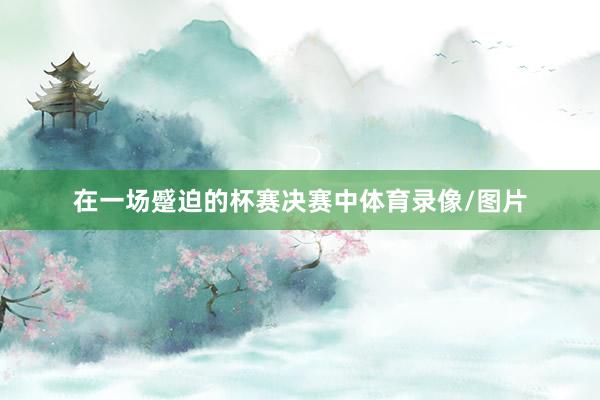在一场蹙迫的杯赛决赛中体育录像/图片