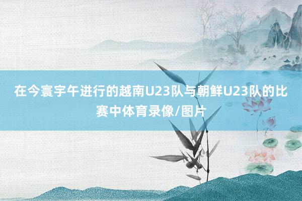 在今寰宇午进行的越南U23队与朝鲜U23队的比赛中体育录像/图片