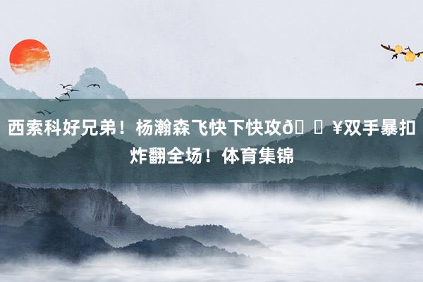 西索科好兄弟！杨瀚森飞快下快攻💥双手暴扣炸翻全场！体育集锦