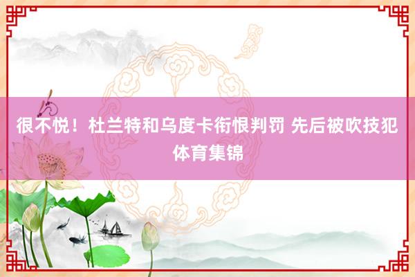 很不悦！杜兰特和乌度卡衔恨判罚 先后被吹技犯体育集锦