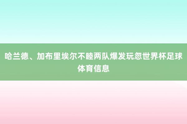 哈兰德、加布里埃尔不睦两队爆发玩忽世界杯足球体育信息