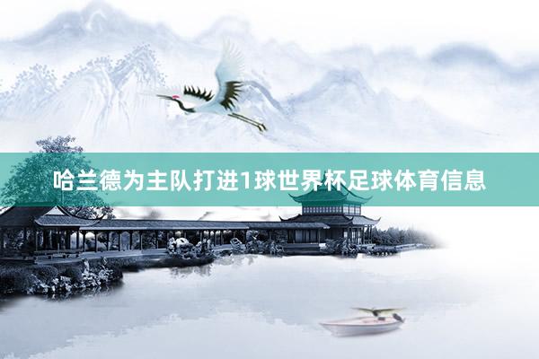 哈兰德为主队打进1球世界杯足球体育信息