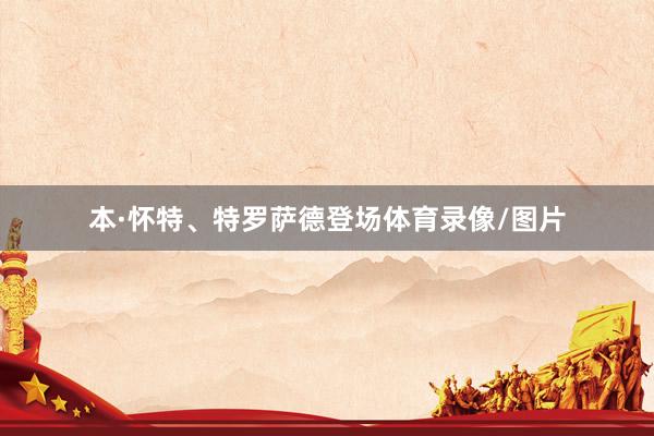 本·怀特、特罗萨德登场体育录像/图片