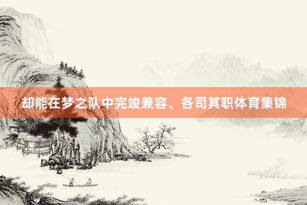 却能在梦之队中完竣兼容、各司其职体育集锦
