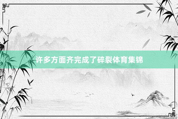 许多方面齐完成了碎裂体育集锦