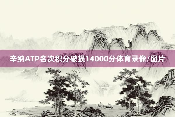 辛纳ATP名次积分破损14000分体育录像/图片