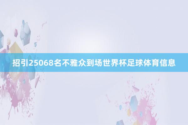 招引25068名不雅众到场世界杯足球体育信息