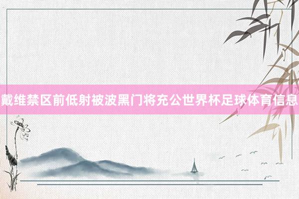 戴维禁区前低射被波黑门将充公世界杯足球体育信息