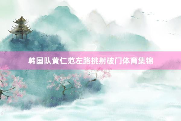 韩国队黄仁范左路挑射破门体育集锦