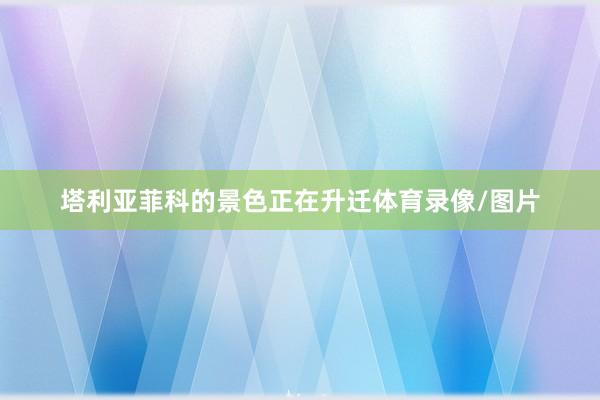 塔利亚菲科的景色正在升迁体育录像/图片