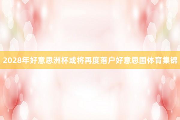 2028年好意思洲杯或将再度落户好意思国体育集锦
